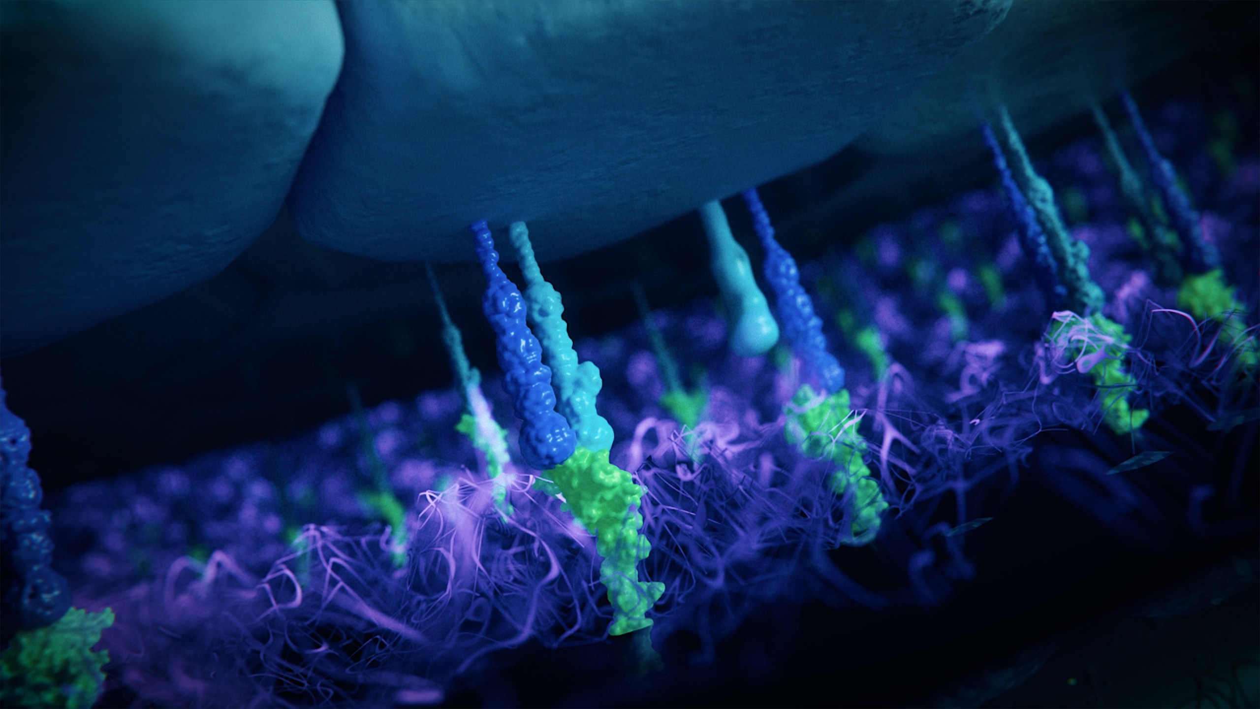 Close-up 3D animation of integrines connecting with extracellular matrix.jpg